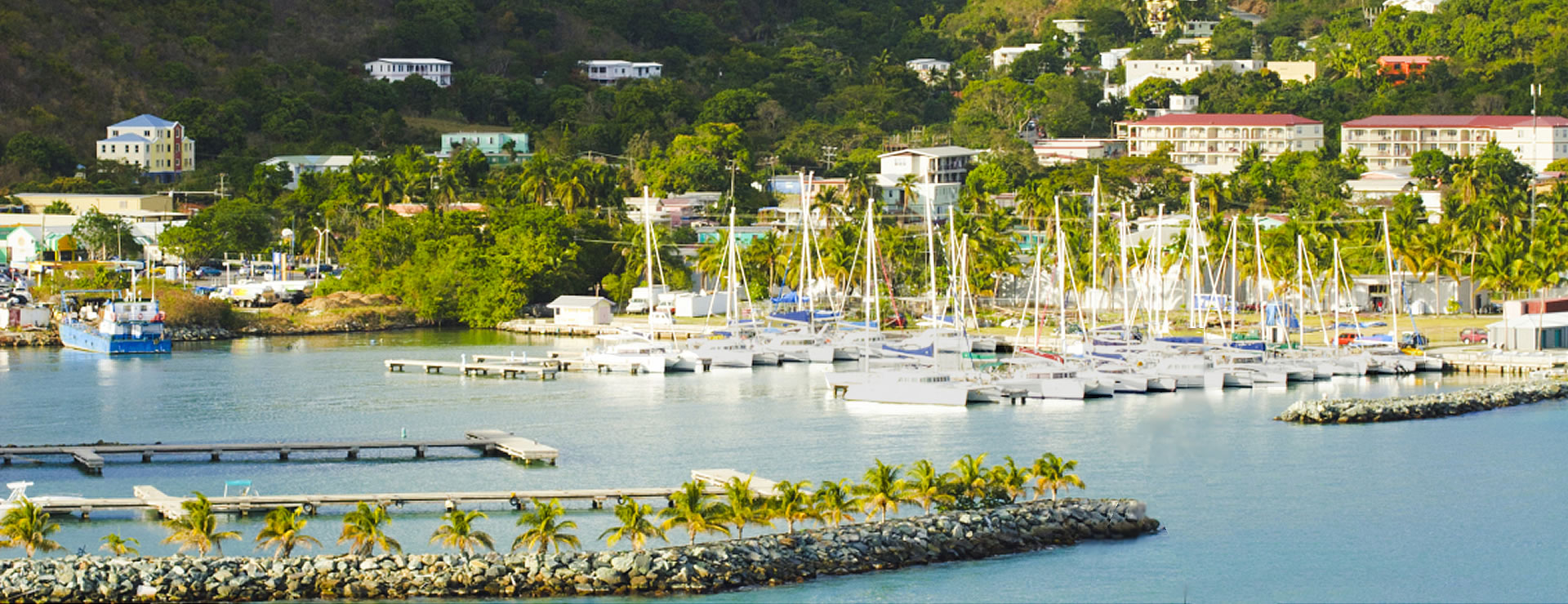 Fishing Charters British Virgin Islands Fishing Charters British Virgin Islands