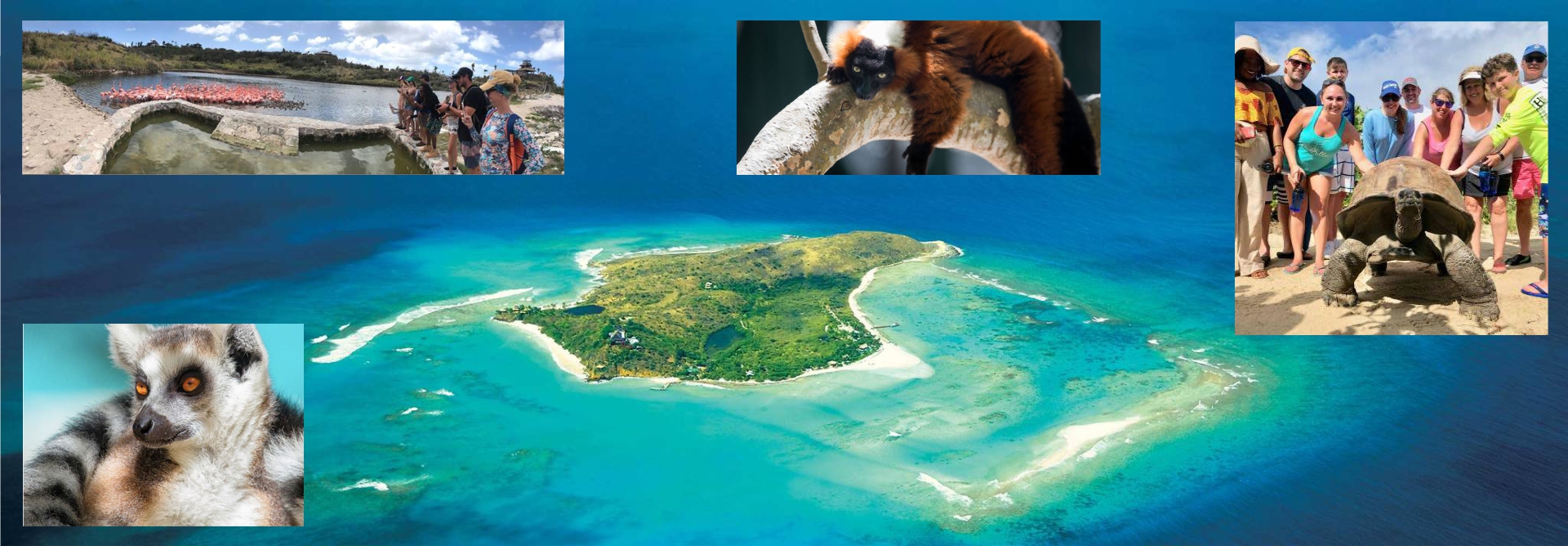 Necker Island Nature Tour BVI Yacht Charters