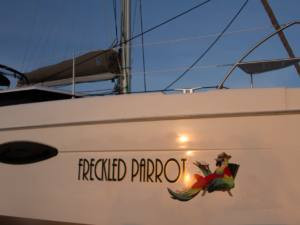 Freckled Parrot_-8 (1024x683)