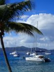 Sails Up in Paradise