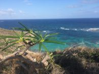 Good Decision A Great Decision