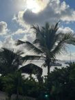 Loving the BVI